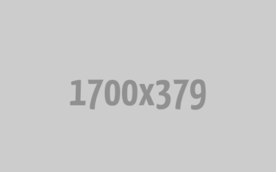 Post 7 : Lorem Ipsum Dummy Text