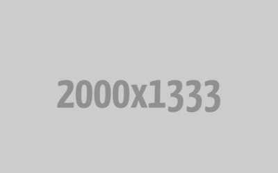 Post 12 : Lorem Ipsum Dummy Text